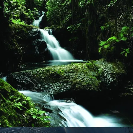 基拉尼塔休闲中心酒店 酒店 基拉尼