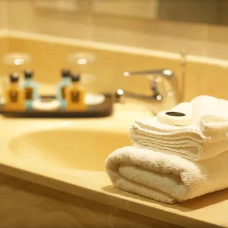 Hotel Towers & Leisure Centre 4*