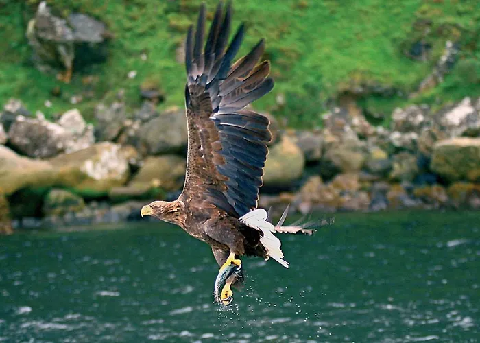 Towers & Leisure Centre
